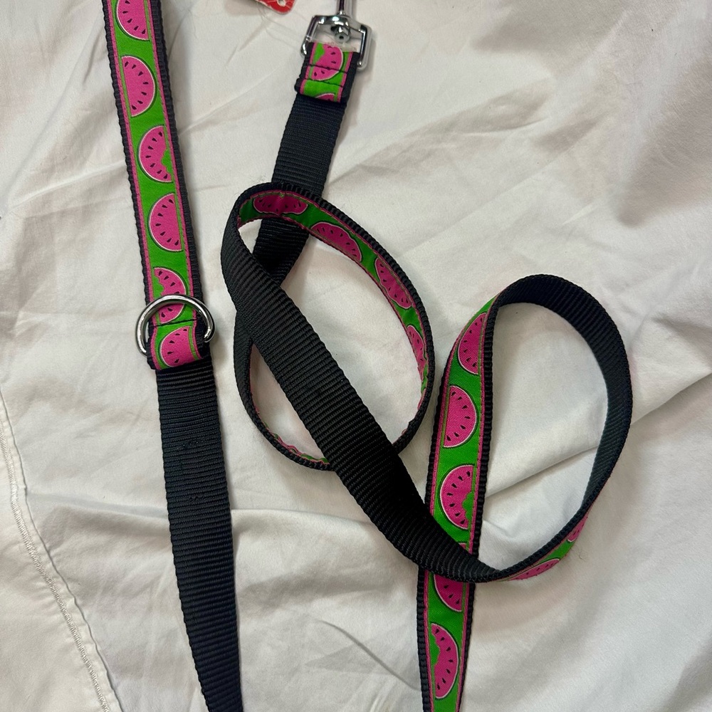 Watermelon Print Dog Leash NWT- The Worthy Dog - Picture 2 of 4